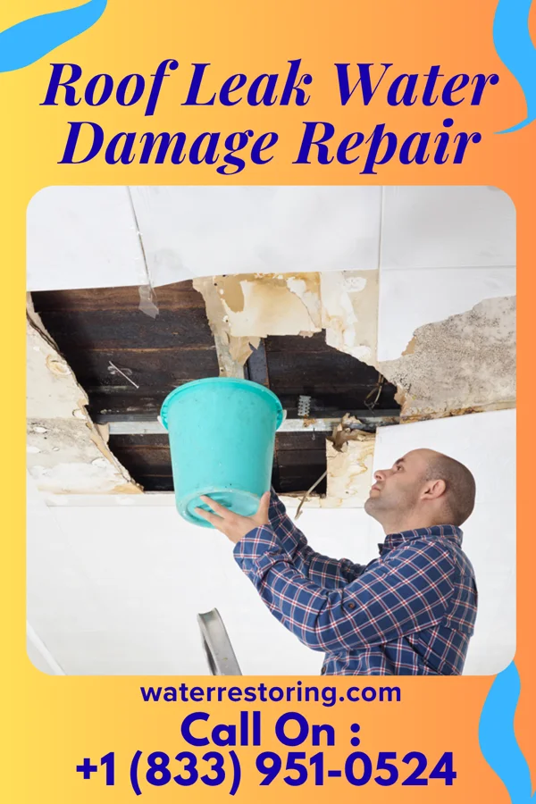 Roof Leak Water Damage Repair in Bridge City, TX